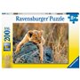 Ravensburger Παζλ 200Xxl Τεμ. Λιονταράκι 