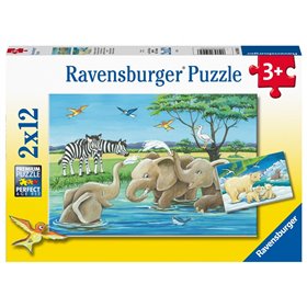 Ravensburger Παζλ 2X12 Τεμ. Ζώα Της Αφρικής 