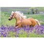 Ravensburger Puzzle 2X24 Pieces Horses 