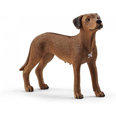 Schleich Σκύλος Rhodesian Ridgeback 