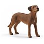 Schleich Σκύλος Rhodesian Ridgeback 