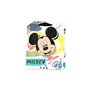 Canpol Τσάντα Δώρου 3D Disney Μικρή - 4 Σχέδια 