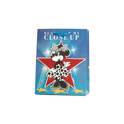 Canpol Τσάντα Δώρου 3D Disney Μεσαία - 4 Σχέδια 