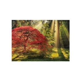 HEYE Παζλ 1000 Magic Forests: Φως Στο Ξέφωτο Guiding Light 