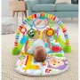 Fisher-Price Deluxe Εκπαιδευτικό Γυμναστήριο - Μουσικό Πιανάκι 