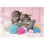 Clementoni Παιδικό Παζλ Color Sweet Kittens 104 Τμχ 