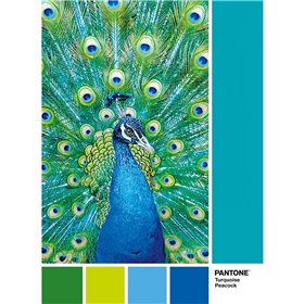 Clementoni Παζλ 1000 Pantone: Peacock Blue 