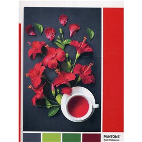 Clementoni Παζλ Pantone Κόκκινος Ιβίσκος 1000 Τμχ 