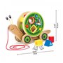 Hape Walk-A-Long Snail - Βόλτα Με Το Σαλιγκαράκι Και Μαθαίνω Τα Σχήματα - 5Τεμ. 