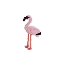 National Geographic Φλαμίνγκο Ροζ - Flamingo 