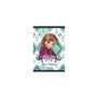 Diakakis imports Τετράδιο Καρφίτσα 17X24 40Φ Disney Frozen - 2 Σχέδια 