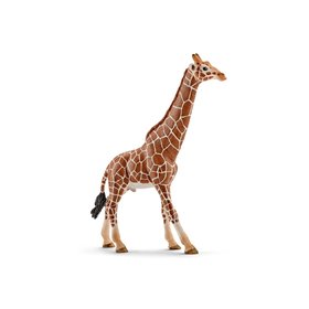 Schleich Καμηλοπάρδαλη Αρσενική 