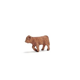 Schleich Μοσχαράκι Σκωτίας  Schleich Μοσχαράκι Σκωτίας