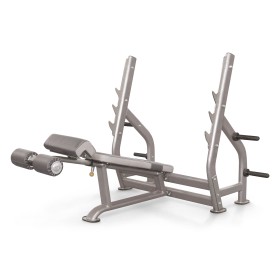 Decline Bench Impulse IT7016 Ασημί