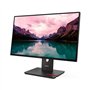 Lenovo ThinkVision T24-40 HDR Monitor 23.8" FHD 1920x1080