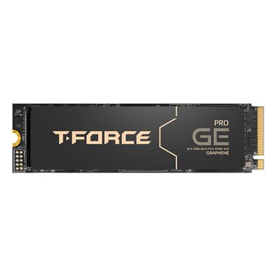 TeamGroup T-Force GE PRO SSD 2TB M.2 NVMe PCI Express 5.0 TM8FG3002T0C133