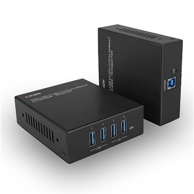 Lindy KVM & Data Switch 43410