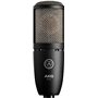 AKG Perception 220 Πυκνωτικό Μικρόφωνο XLR Shock Mounted για Φωνητικά