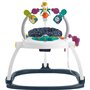 Fisher Price Baby Jumper Jumperoo Spacesaver Γαλαξίας με Μουσική για 12+ ΜηνώνΚωδικός: HBG73 