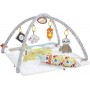 Fisher Price Γυμναστήριο Δραστηριοτήτων Deluxe Perfect Sense για ΝεογέννηταΚωδικός: GKD45 