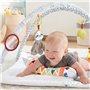 Fisher Price Γυμναστήριο Δραστηριοτήτων Deluxe Perfect Sense για ΝεογέννηταΚωδικός: GKD45 