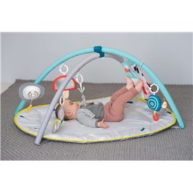 Taf Toys Γυμναστήριο Δραστηριοτήτων All Around Me για 3+ ΜηνώνΚωδικός: 12435 