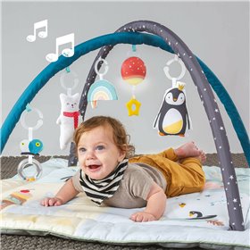Taf Toys Γυμναστήριο Δραστηριοτήτων North Pole 4 Season για 3+ ΜηνώνΚωδικός: Τ-12565 