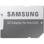 Samsung Evo Plus microSDXC 256GB U3 with Adapter (2020)