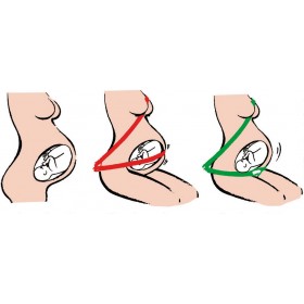 BeSafe Ζώνη Εγκύου Μαύρη BeSafe Ζώνη Εγκύου Μαύρη