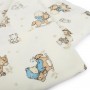 Dimcol Φανελένια Πάνα Αγκαλιάς Baby 04 Blue 80x80cm