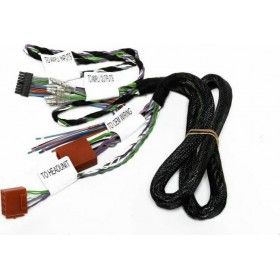 Audison Καλώδιο Ενισχυτή Αυτοκινήτου Prima AP 260P&ampP IO