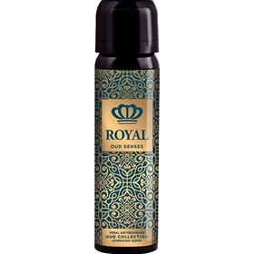 Feral Αρωματικό Σπρέι Royal Collection Oud Senses 70mlΚωδικός: 19367 