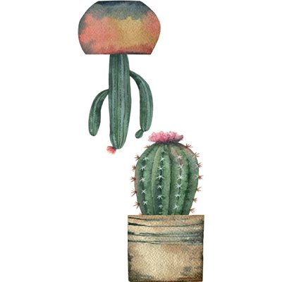 Ango Διακοσμητικό Αυτοκόλλητο Τοίχου Cactus 34x15.5cm