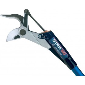 Campagnola Star 50 2m