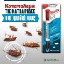 Gemma Gel για Κατσαρίδες Dragon 10gr