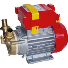Rover Pompe BE-M 25 By-Pass Μονοφασική Αντλία Μετάγγισης 0.8hp Rover Pompe BE-M 25 By-Pass Μονοφασική Αντλία Μετάγγισης 0.8hp