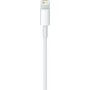 Apple USB 3.1 Cable USB-C male - Lightning White 1m (MK0X2)