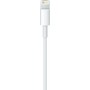 Apple USB to Lightning Cable White 2m (MD819)