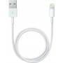 Apple USB to Lightning Cable White 2m (MD819)