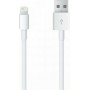 Apple USB to Lightning Cable White 1m (MD818)