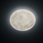 Trio Lighting Lunar Γυάλινη Πλαφονιέρα Οροφής ΛευκήΚωδικός: 627514000 
