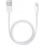 Apple USB to Lightning Cable Λευκό 0.5m (ME291)