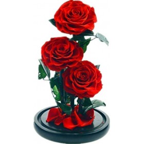 Παντοτινό Τριαντάφυλλο 32cmΚωδικός: RF35 