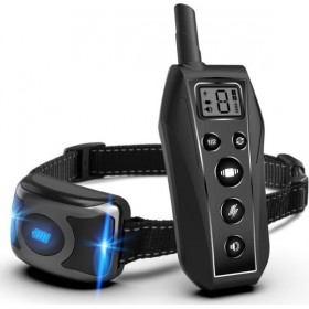 Wellturn Επαναφορτιζόμενο T700 έως 600m