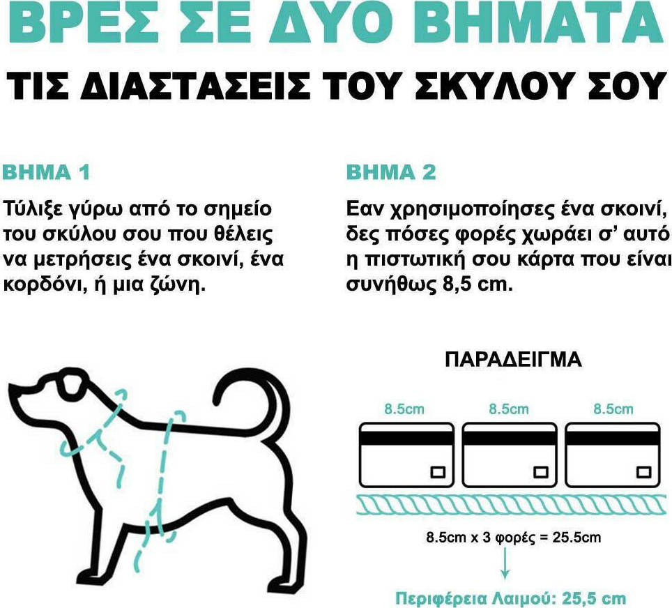 Zee-Dog H-Harness Terrazo Small Σαμαράκι για Σκύλους Πράσινο