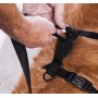 Zee-Dog H-Harness Terrazo Small Σαμαράκι για Σκύλους Πράσινο