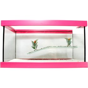 Χελωνιέρα Γυάλινη Με Εξέδρα Petgreece Μέγεθος: 40x20x20cm Χελωνιέρα Γυάλινη Με Εξέδρα Petgreece Μέγεθος: 40x20x20cm