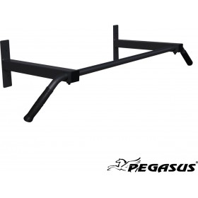 Pegasus Β-1106 Μονόζυγο Τοίχου για Χρήστη έως 100kg