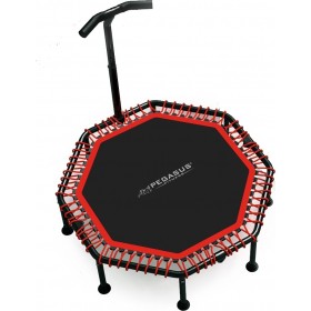 Pegasus Β-4503A Τραμπολίνο 122cm Γυμναστικής με Λαβή