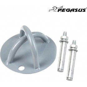 Pegasus B-0950Z Pegasus B-0950Z